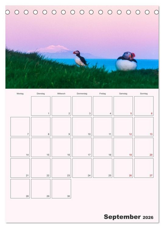 Produktbild: Papageitaucher Monatsplaner (Tischkalender 2026 DIN A5 hoch), CALVENDO Monatskalender
