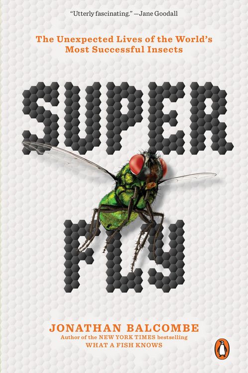 Produktbild: Super Fly