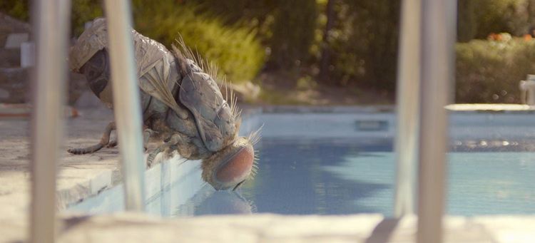 Produktbild: Eine Fliege kommt selten allein - Mediabook (Blu-ray) (+ DVD)