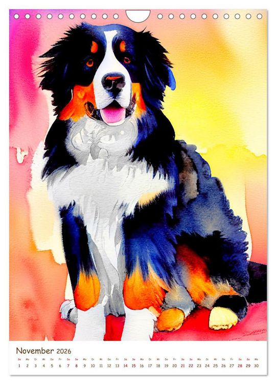 Produktbild: Berner Sennenhund 2026. Sch&ouml;ne Aquarelle der schweizer Hunderasse (Wandkalender 2026 DIN A4 hoch), CALVENDO Monatskalender