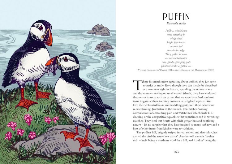 Produktbild: Britain's Birds