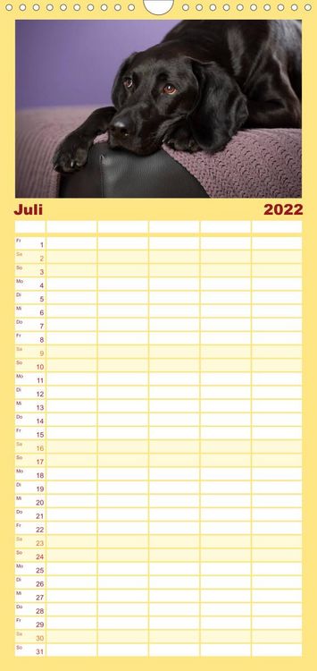 Produktbild: Familienplaner Bunte Pfoten (Wandkalender 2022 , 21 cm x 45 cm, hoch)