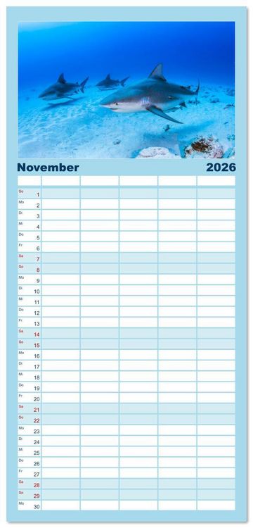 Produktbild: Familienplaner 2026 - Haie - Vorsicht gef&auml;hrlich! mit 5 Spalten (Wandkalender, 21 x 45 cm) CALVENDO
