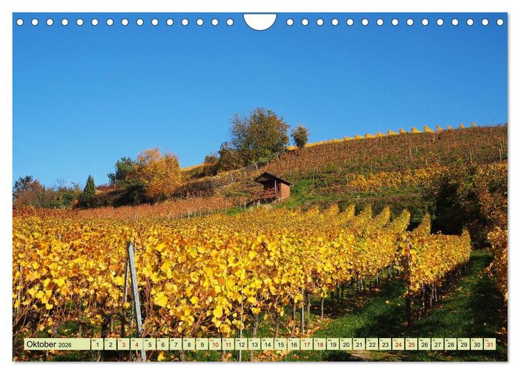 Produktbild: Weinregion Bergstra&szlig;e Burgen, Wein und Mandelbl&uuml;te (Wandkalender 2026 DIN A4 quer), CALVENDO Monatskalender