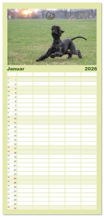 Produktbild: Familienplaner 2026 - Mit dem Riesenschnauzer durch das Jahr mit 5 Spalten (Wandkalender, 21 x 45 cm) CALVENDO