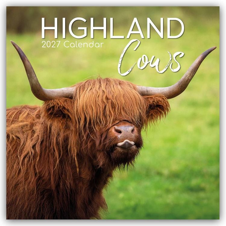 Produktbild: Highland Cows &ndash; Hochland-K&uuml;he &ndash; Hochlandrinder 2027 &ndash; 16-Monatskalender