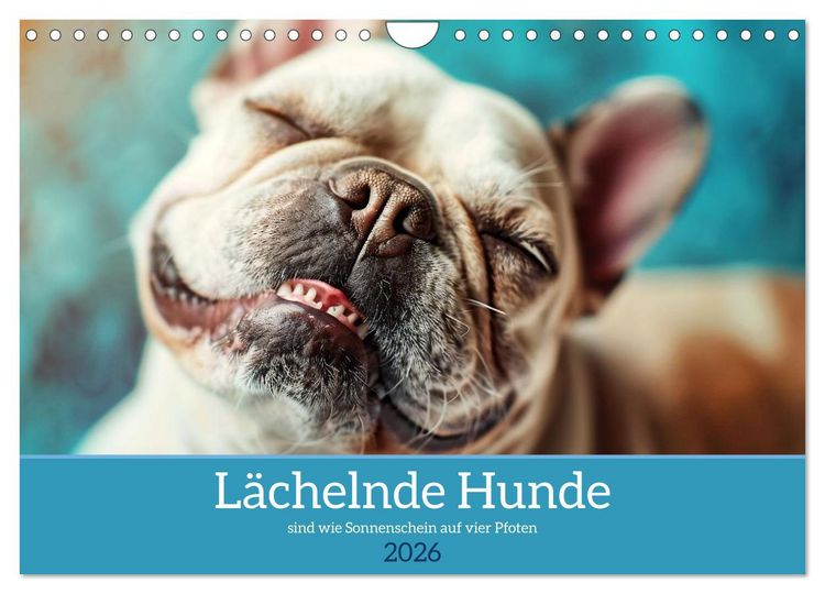 Produktbild: L&auml;chelnde Hunde sind wie Sonnenschein auf vier Pfoten (Wandkalender 2026 DIN A4 quer), CALVENDO Monatskalender