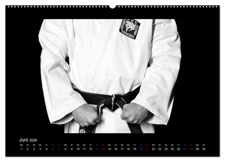 Produktbild: Traditionelles Taekwon-Do (hochwertiger Premium Wandkalender 2026 DIN A2 quer), Kunstdruck in Hochglanz