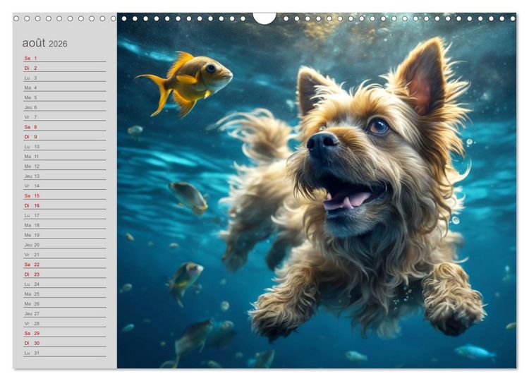 Produktbild: Chiens : les nageurs intr&eacute;pides (Calendrier mural 2026 DIN A3 vertical), CALVENDO calendrier mensuel