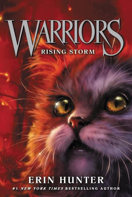 Produktbild: Rising Storm / Warriors Band 4