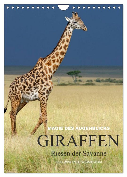 Produktbild: Magie des Augenblicks - Giraffen - Riesen der Savanne (Wandkalender 2026 DIN A4 hoch), CALVENDO Monatskalender