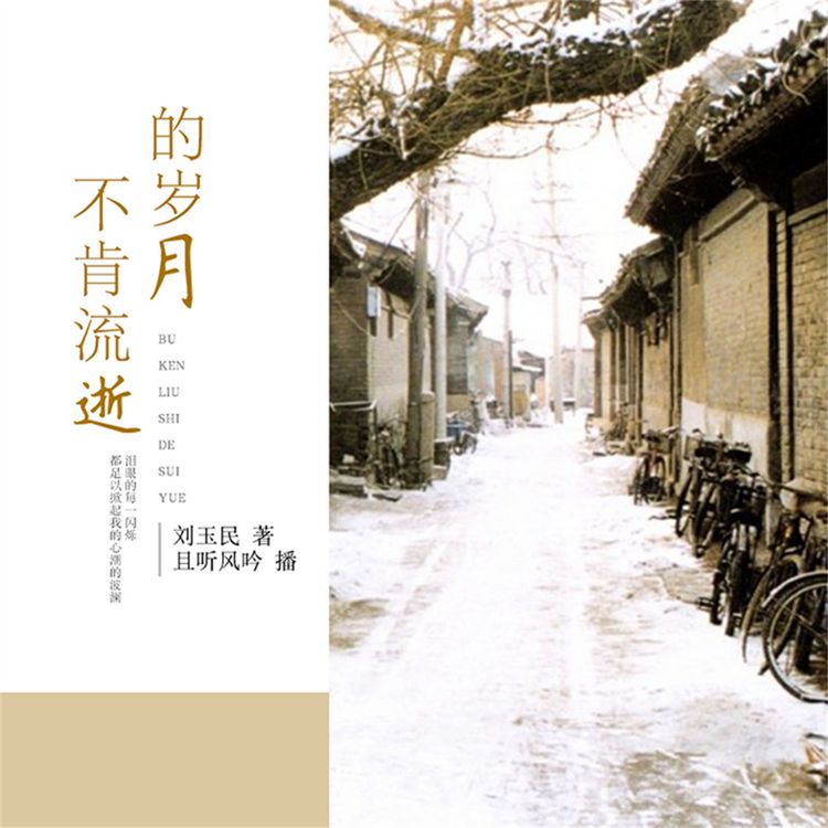 Produktbild: 不肯流逝的岁月