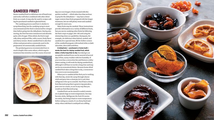 Produktbild: The Beginner's Guide to Dehydrating Food, 2nd Edition