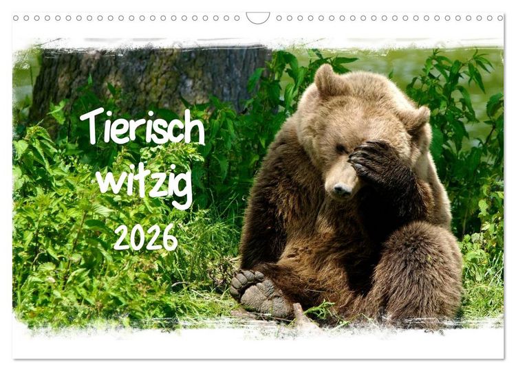 Produktbild: Tierisch witzig (Wandkalender 2026 DIN A3 quer), CALVENDO Monatskalender