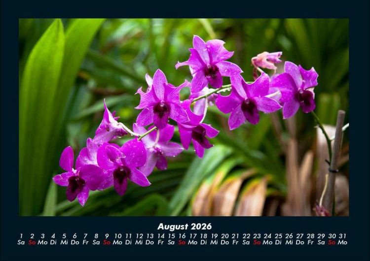 Produktbild: Natur 2026 Fotokalender DIN A4