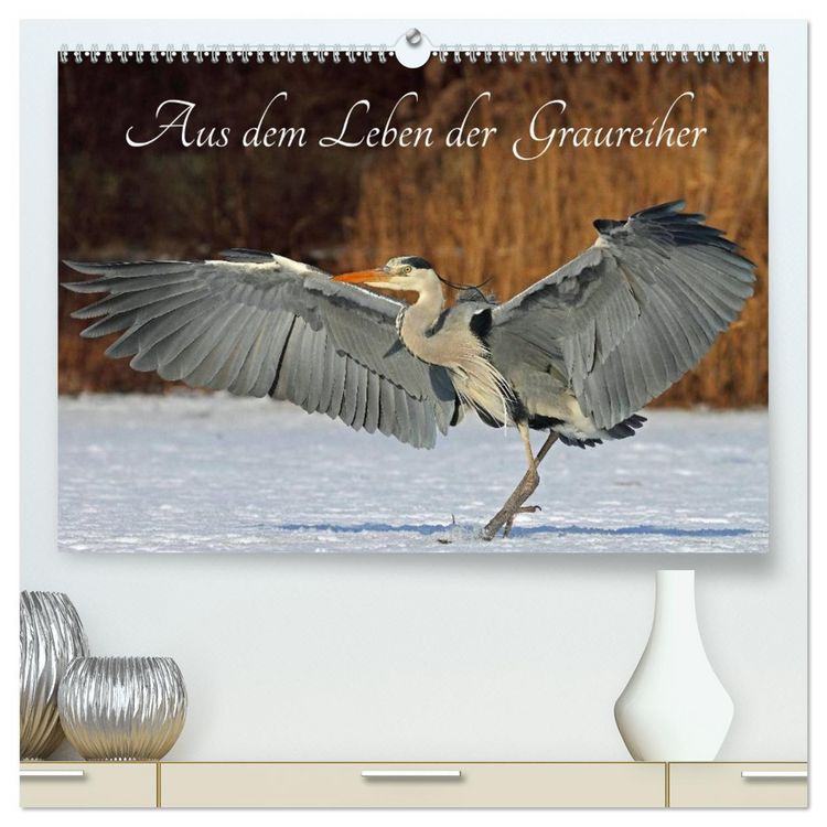 Produktbild: Aus dem Leben der Graureiher (hochwertiger Premium Wandkalender 2026 DIN A2 quer), Kunstdruck in Hochglanz