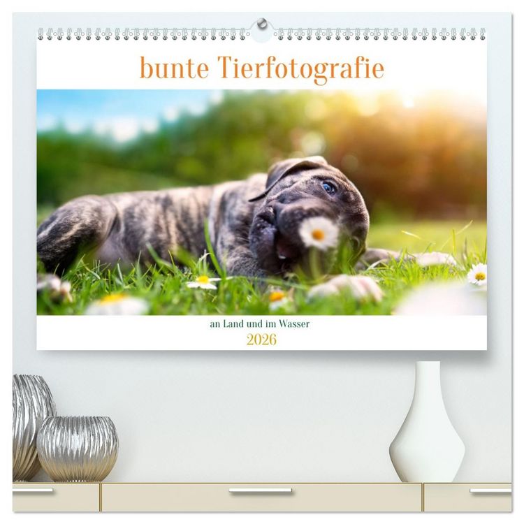 Produktbild: bunte Tierfotografie an Land und im Wasser (hochwertiger Premium Wandkalender 2026 DIN A2 quer), Kunstdruck in Hochglanz