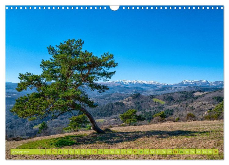 Produktbild: Solitude verdoyante (Calendrier mural 2026 DIN A3 vertical), CALVENDO calendrier mensuel