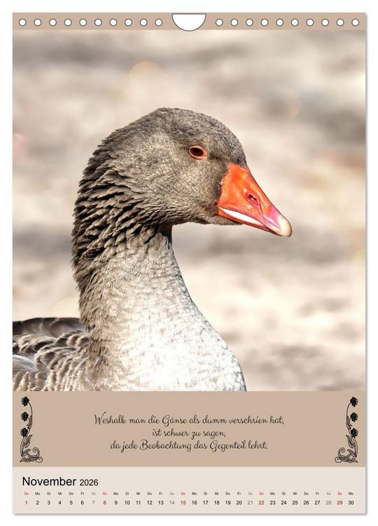 Produktbild: Buntes Tierleben (Wandkalender 2026 DIN A4 hoch), CALVENDO Monatskalender