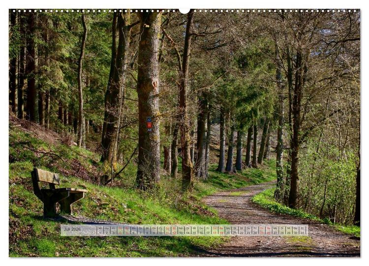 Produktbild: Wald im Bergischen Land 2026 (hochwertiger Premium Wandkalender 2026 DIN A2 quer), Kunstdruck in Hochglanz