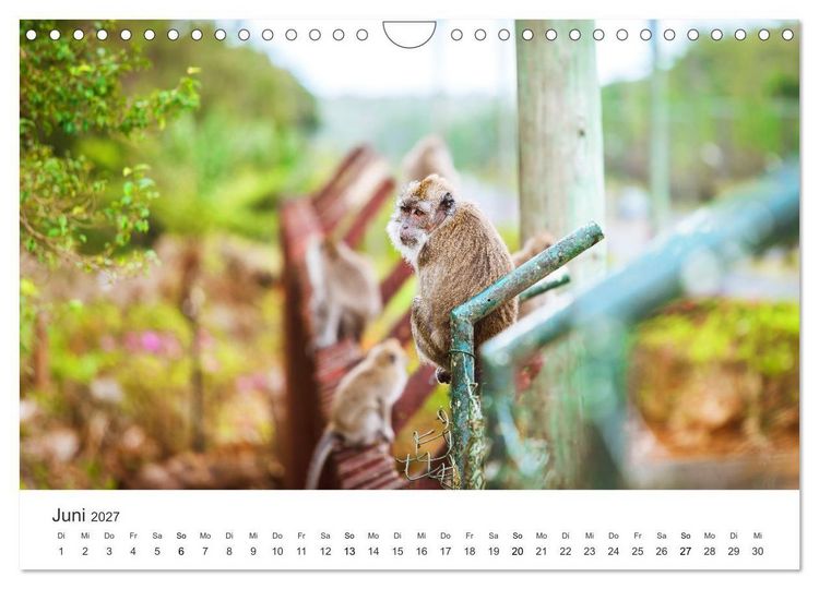 Produktbild: Traumhaftes Mauritius (Wandkalender 2027 DIN A4 quer), CALVENDO Monatskalender