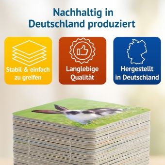 Produktbild: Doppel Hoppel Memospiel