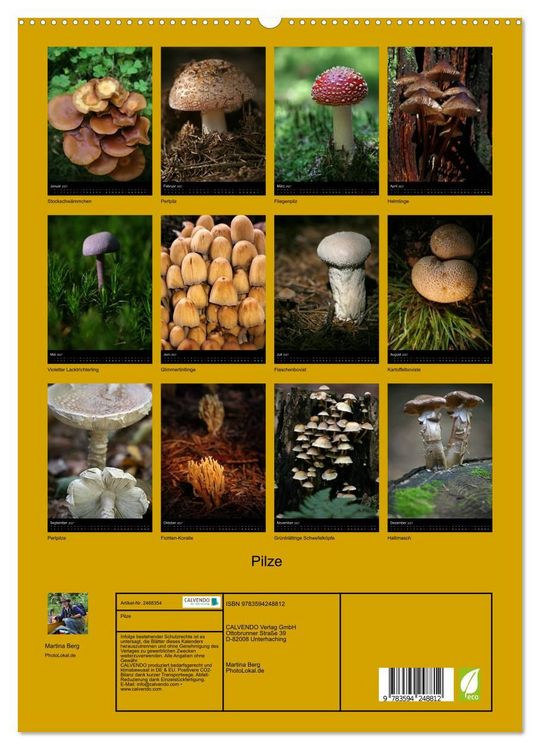 Produktbild: Pilze (hochwertiger Premium Wandkalender 2027 DIN A2 hoch), Kunstdruck in Hochglanz