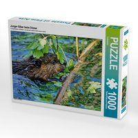 Produktbild: CALVENDO Puzzle Junger Biber beim Dinner 1000 Teile Lege-Gr&ouml;&szlig;e 64 x 48 cm Foto-Puzzle Bild von Kattobello