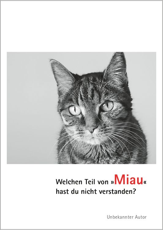 Produktbild: Postkarten Katzen Miau (VE10)