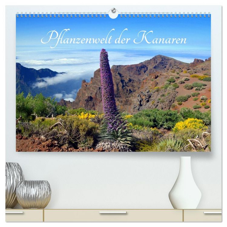 Produktbild: Pflanzenwelt Kanaren (hochwertiger Premium Wandkalender 2026 DIN A2 quer), Kunstdruck in Hochglanz