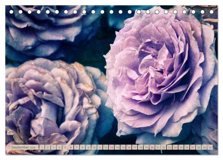 Produktbild: Rosenduft Shabby Chic Style (Tischkalender 2026 DIN A5 quer), CALVENDO Monatskalender
