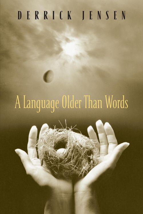 Produktbild: A Language Older Than Words