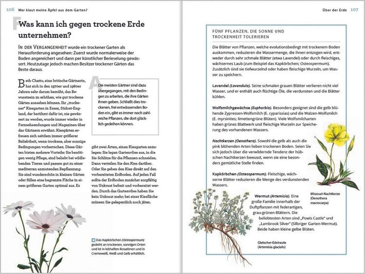 Produktbild: Wer klaut meine &Auml;pfel aus dem Garten