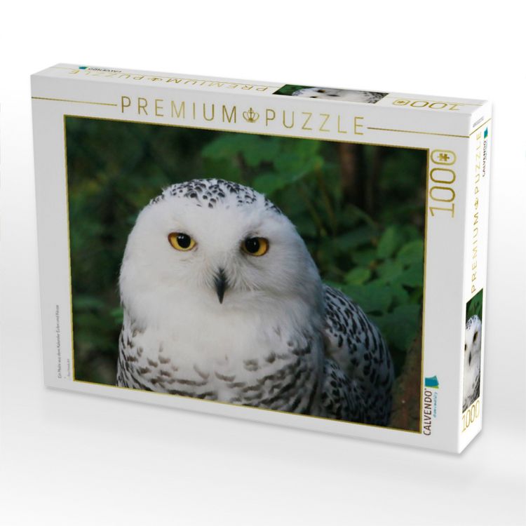 Produktbild: CALVENDO Puzzle Ein Motiv aus dem Kalender Eulen und K&auml;uze | 1000 Teile Lege-Gr&ouml;&szlig;e 64x48cm Foto-Puzzle f&uuml;r gl&uuml;ckliche Stunden