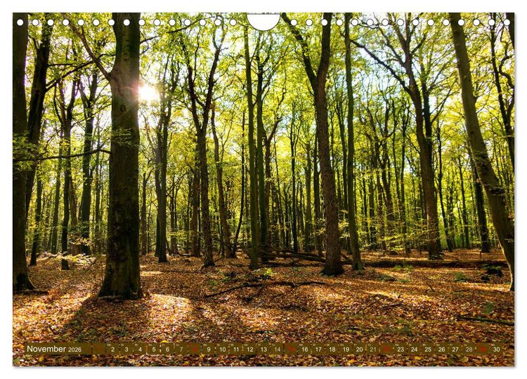 Produktbild: Bezauberndes Ostfriesland (Wandkalender 2026 DIN A4 quer), CALVENDO Monatskalender