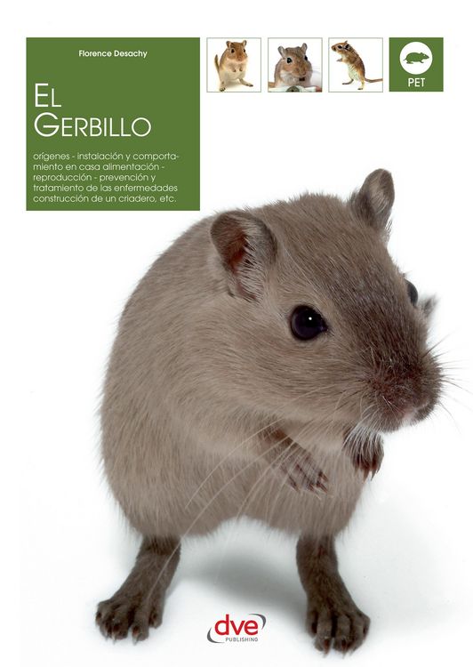 Produktbild: El gerbillo