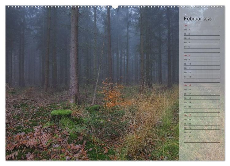 Produktbild: Unser Wald - Magische Sichten in norddeutsche W&auml;lder / Geburtstagskalender (hochwertiger Premium Wandkalender 2026 DIN A2 quer), Kunstdruck in Hochglanz