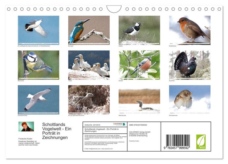 Produktbild: Schottlands Vogelwelt - Ein Portr&auml;t in Zeichnungen (Wandkalender 2026 DIN A4 quer), CALVENDO Monatskalender