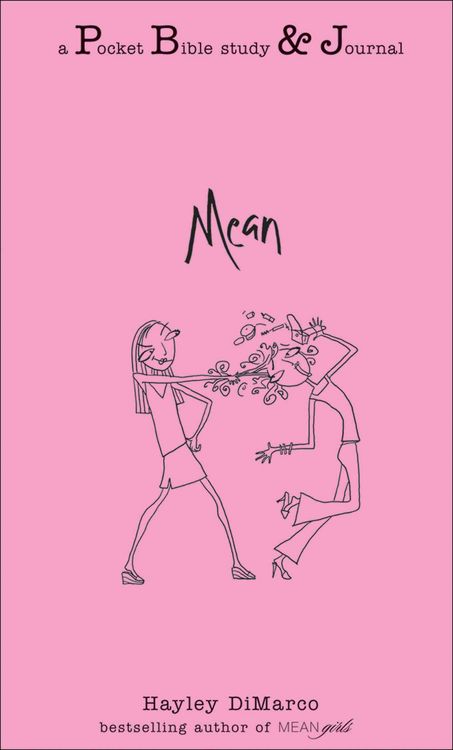 Produktbild: Mean: A Pocket Bible Study & Journal