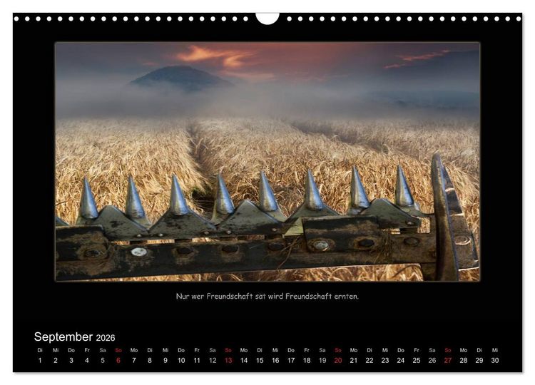 Produktbild: Freundschaft (Wandkalender 2026 DIN A3 quer), CALVENDO Monatskalender
