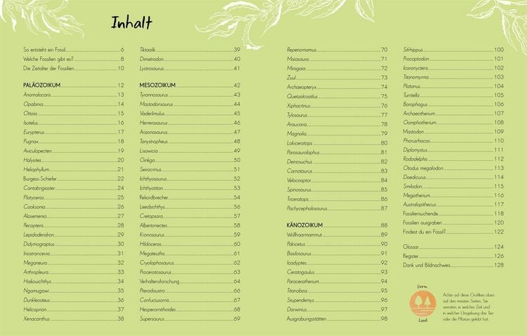 Produktbild: Wundervolle Welt - Kleine Sch&auml;tze. Fossilien