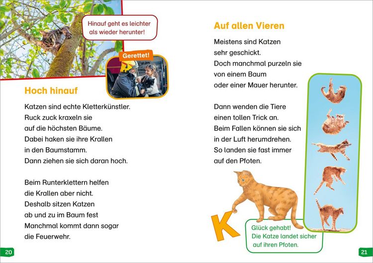 Produktbild: WAS IST WAS Erstes Lesen easy! Band 10. Katzen - meine Lieblingstiere