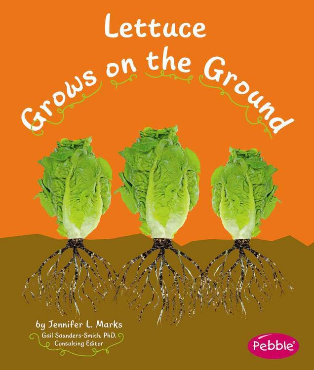 Produktbild: Lettuce Grows On The Ground
