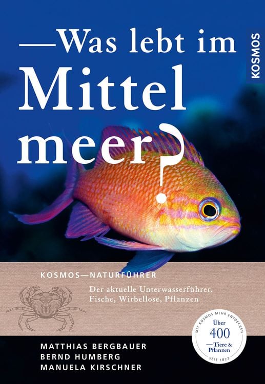 Produktbild: Was lebt im Mittelmeer?