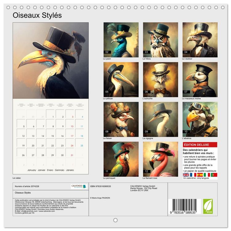 Produktbild: Oiseaux Styl&eacute;s (Calendrier mural carr&eacute; 2026 30x30 cm) Calendrier double avec une page pour vos prises de notes