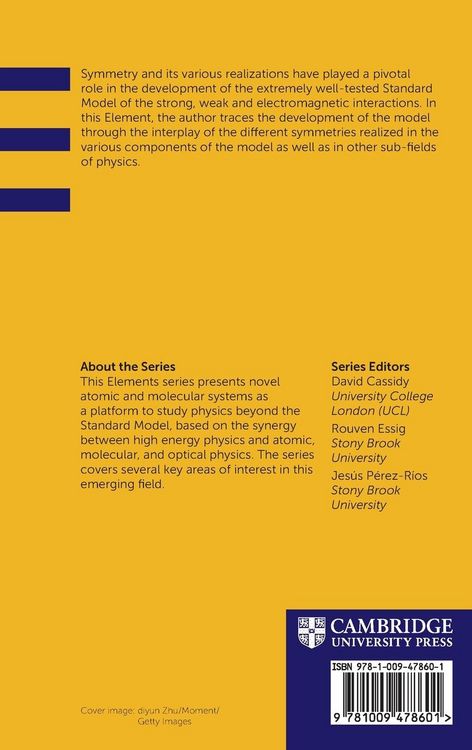 Produktbild: The Role of Symmetry in the Development of the Standard Model