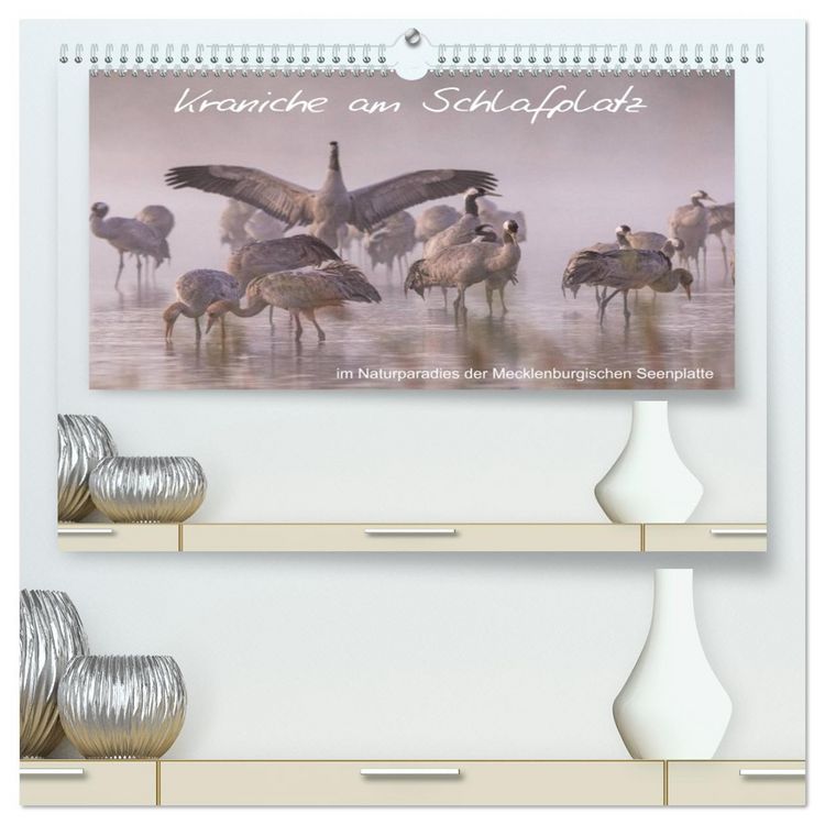 Produktbild: Kraniche am Schlafplatz - im Naturparadies der Mecklenburgischen Seenplatte (hochwertiger Premium Wandkalender 2026 DIN A2 quer), Kunstdruck in Hochglanz