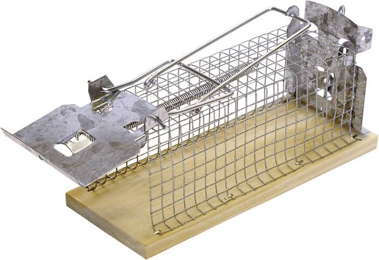 Produktbild: Swissinno Mouse Classic Lebendfalle 1St.