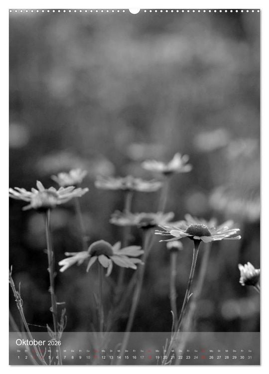 Produktbild: Monochrome Bl&uuml;ten - In Schwarz-Wei&szlig; Bildern durch das Jahr (hochwertiger Premium Wandkalender 2026 DIN A2 hoch), Kunstdruck in Hochglanz
