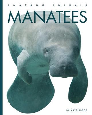Produktbild: Manatees